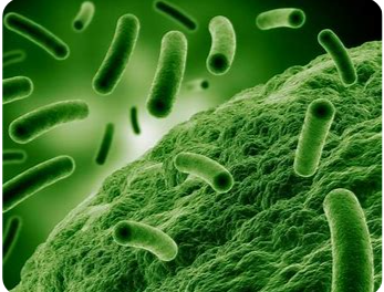 Platform Development